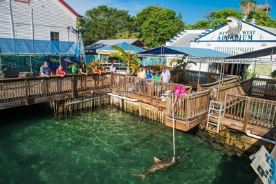 Key West Aquarium Image #2 Key West Aquarium Image #2